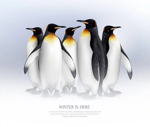 Composição realista dos pinguins — Vetor de Stock