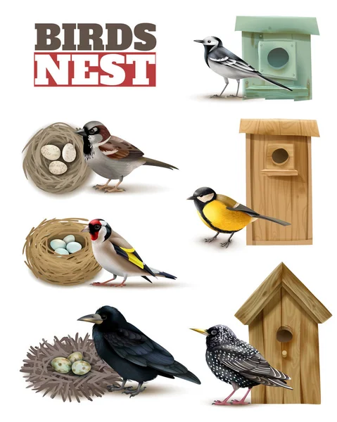 Птахи гнізда реалістичний набір — стоковий вектор