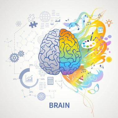 Sol sağ beyin kavramı 