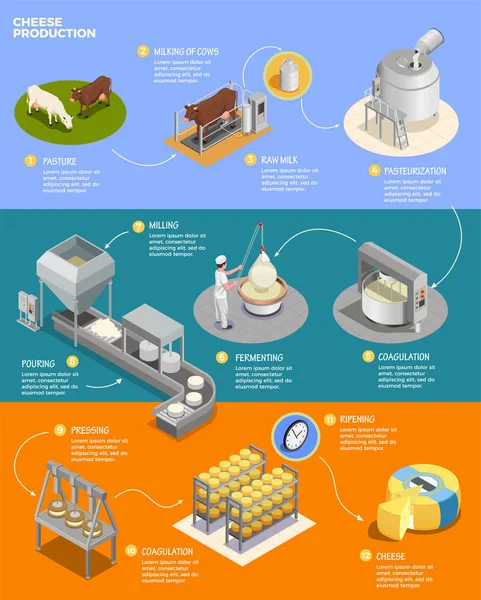 Producción de queso Infografías isométricas — Vector de stock