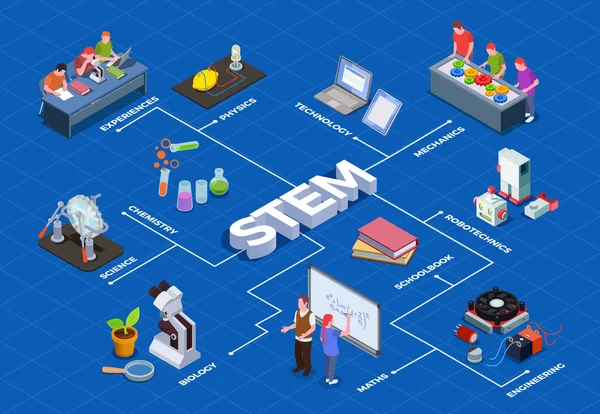 Isométrico STEM Educación Diagrama de flujo — Vector de stock