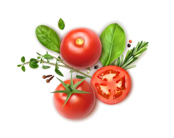 Tomat örter realistiska sammansättning — Stock vektor