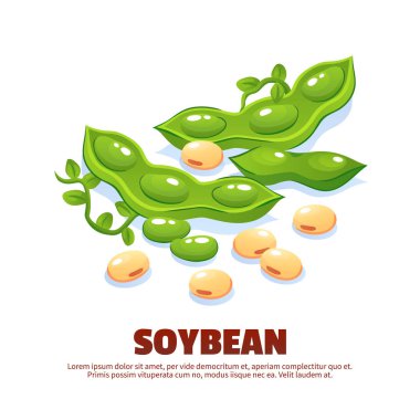 Soya tasarım kompozisyon