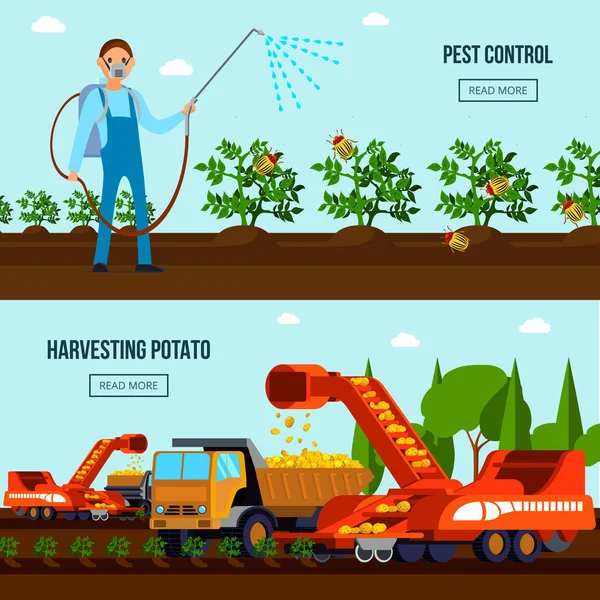 Cultivo de patatas Composiciones planas — Vector de stock