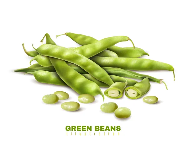 Zelené fazolky realistický obraz — Stockový vektor