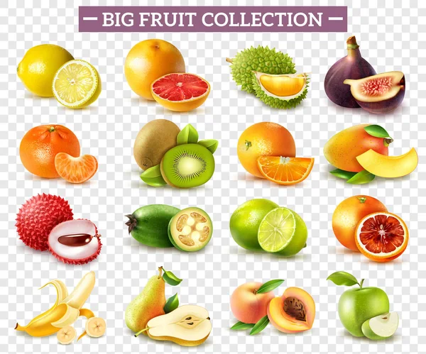 Set de frutas realistas — Vector de stock