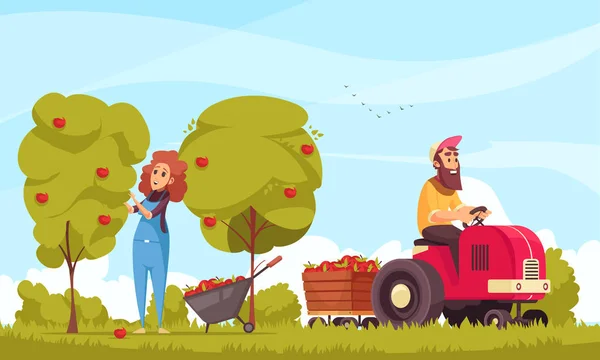 Ogrodnictwo ilustracja kreskówka do zbioru jabłek — Wektor stockowy