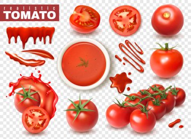 Realistic tomato on transparent background set with isolated images of whole fruits slices splashes of juice vector illustration clipart
