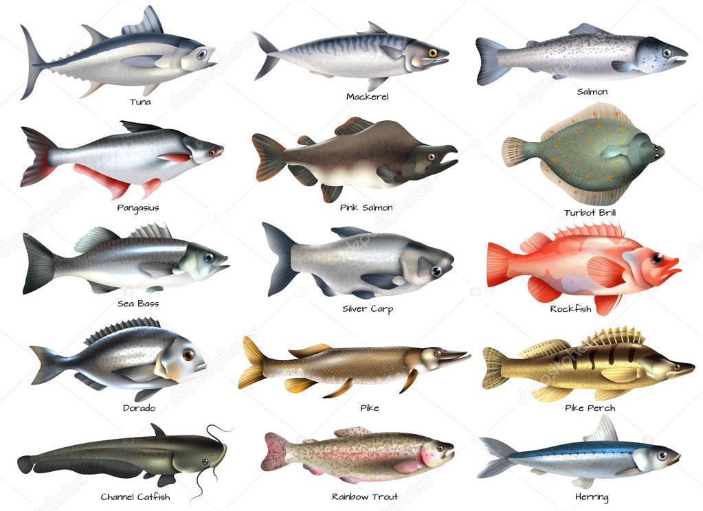 Fishes Icons Set