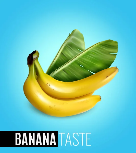 Realistické plakát banán — Stockový vektor