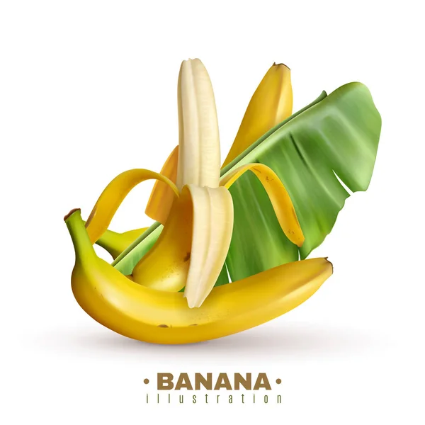 과일 바나나 현실적인 배경 — 스톡 벡터