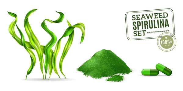 Spirulina conjunto realista —  Vetores de Stock