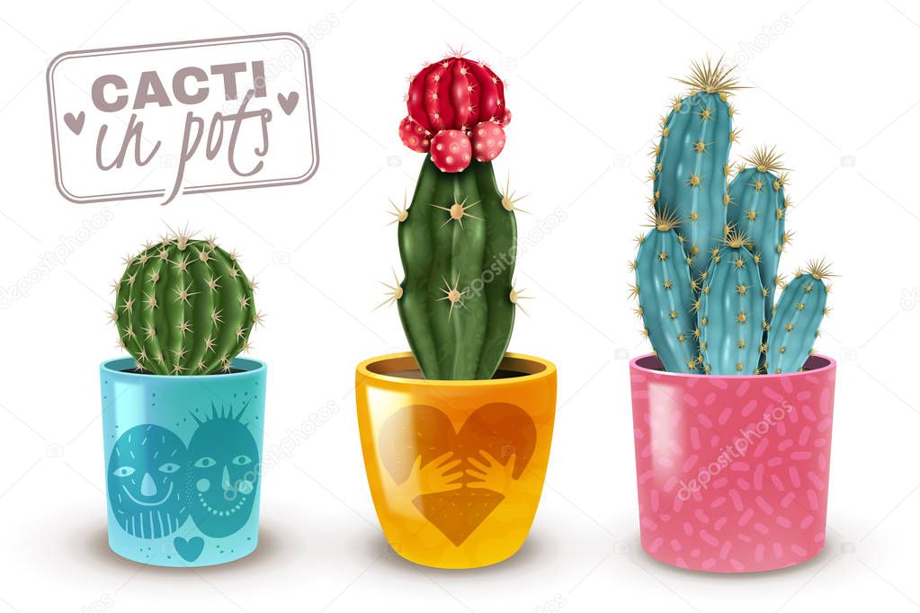 Cactus Pot Set 
