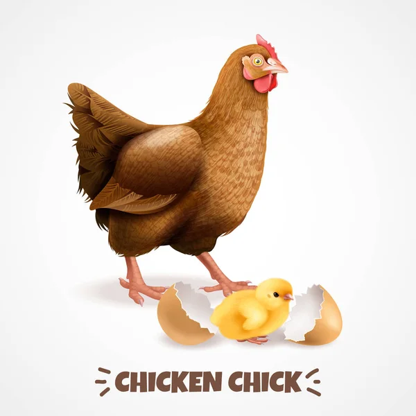 Cartaz Realista Chick Hatching —  Vetores de Stock