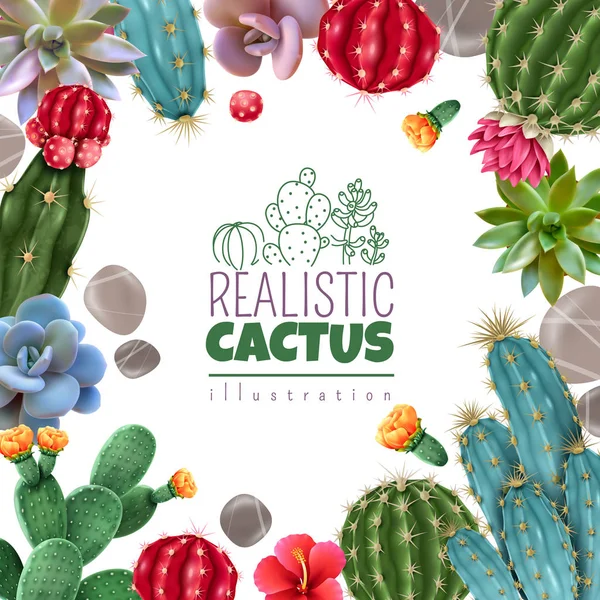 Cactus suculentas marco realista — Archivo Imágenes Vectoriales