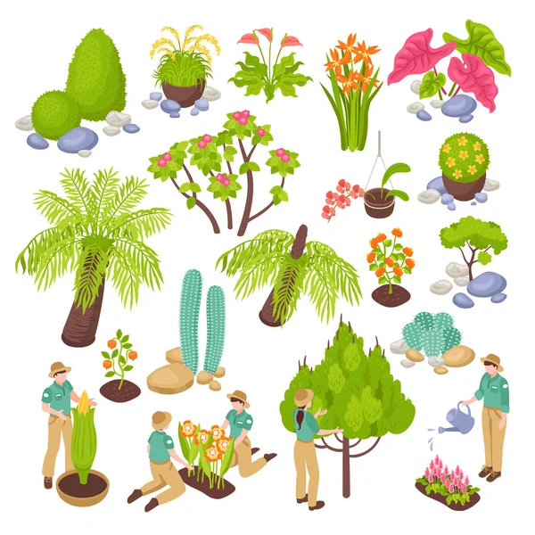 Ensemble constructeur de jardin botanique — Image vectorielle