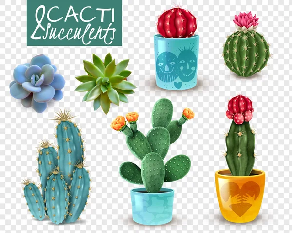 Set transparente realista suculento de cactus — Vector de stock