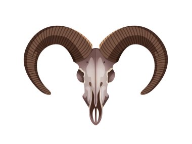 Boynuzları keçi kafatası düz