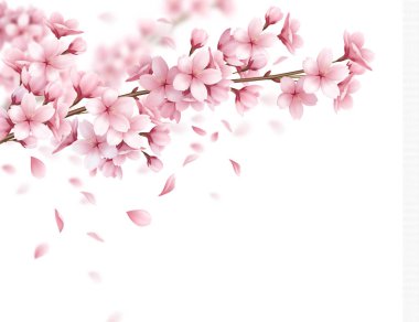 Sakura gerçekçi arka plan