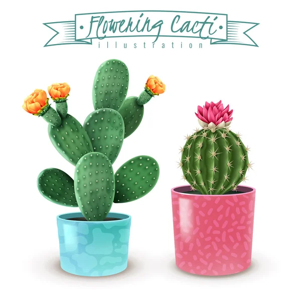 Ensemble réaliste de cactus en fleurs — Image vectorielle