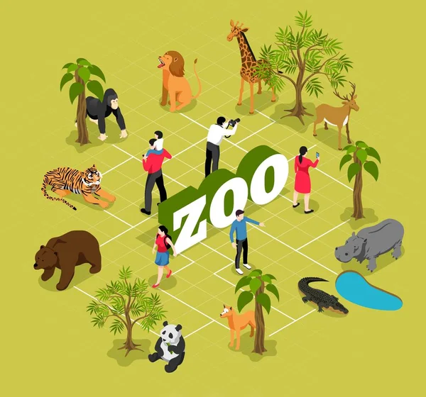 Zoo Isometric Flowchart — Stock Vector