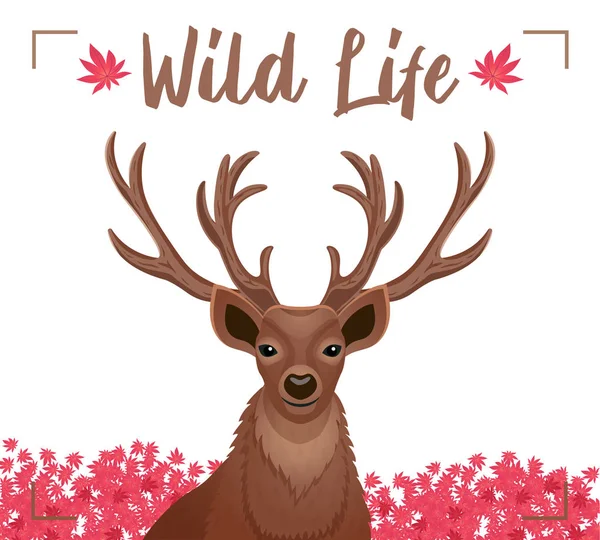 Horns Deer Decorative Poster — Stock Vector
