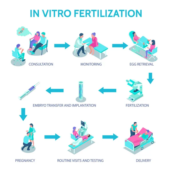 Cartel de fertilización in vitro — Vector de stock