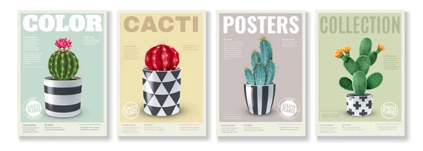 Cacti Poster realistici Set — Vettoriale Stock