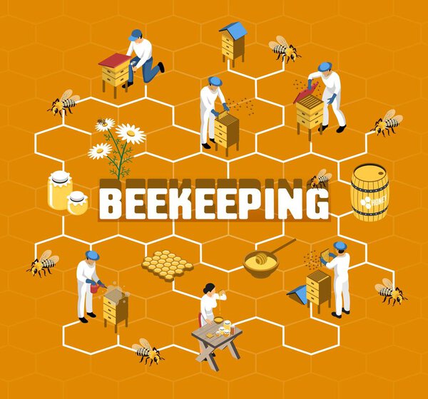Beekeeping Isometric Flowchart