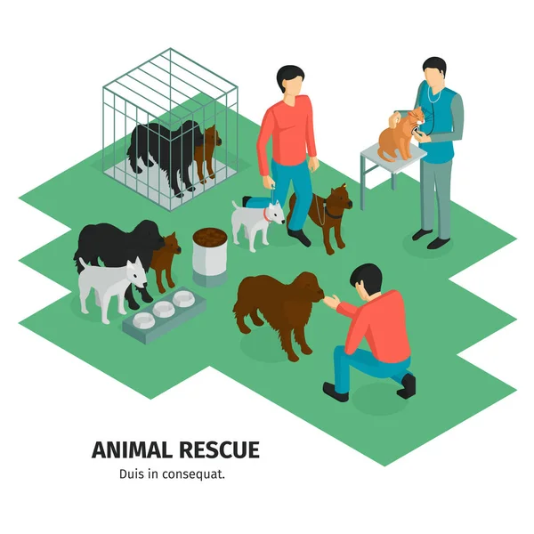 Rescate animal Antecedentes isométricos — Vector de stock