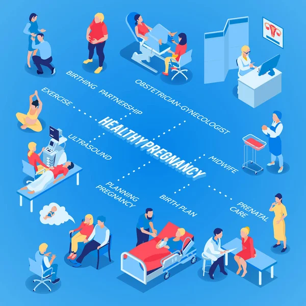 Ginecología y diagrama de flujo del embarazo — Vector de stock