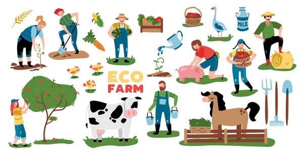 Domestic Farm Elements collectie — Stockvector