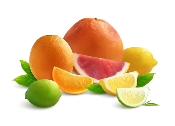 Citrus Realistic Composition — Stock Vector