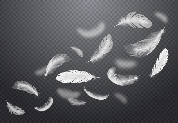 White Falling Feathers Transparent Set — Stock Vector