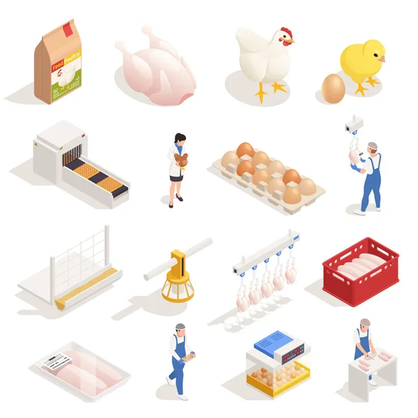 Chicken Farm Isometric Set — Stock Vector