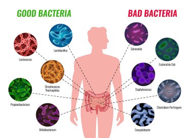 Good And Bad Bacteria Poster clipart