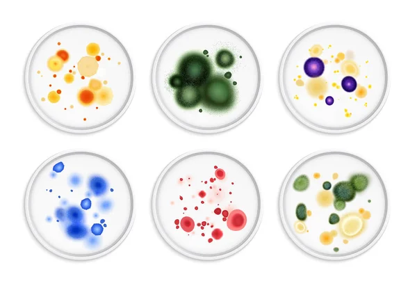 Conjunto de colonias de bacterias moldeadas — Vector de stock