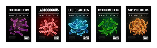 Ensemble de bannières de probiotiques et de santé — Image vectorielle