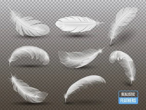 Set transparente realista de plumas blancas — Vector de stock