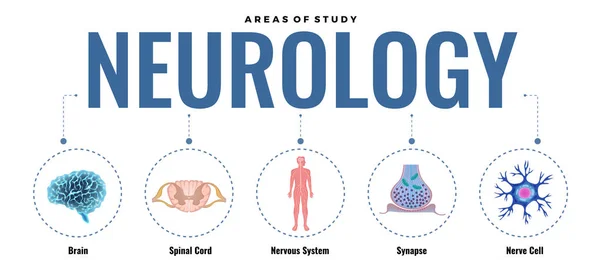Studio di Neurologia Composizione infografica — Vettoriale Stock
