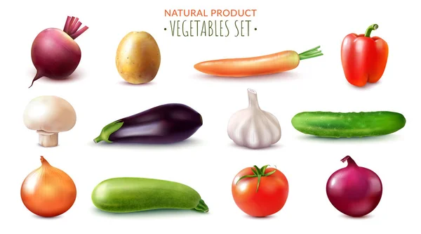 Реалистичный набор натуральных овощей — стоковый вектор