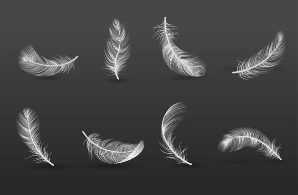 Realistic Feather Icon Set — Stock Vector