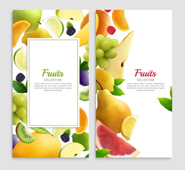 Conjunto de diseño realista de frutas — Archivo Imágenes Vectoriales