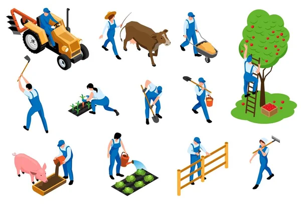 Set de iconos isométricos del agricultor — Vector de stock