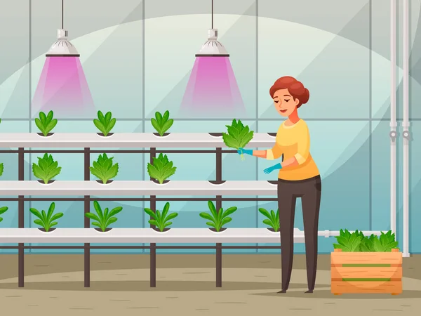 Greenhouse Farming Background Ilustração — Vetor de Stock