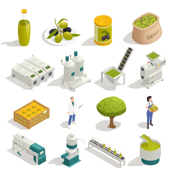 Olive Production Isometric Set — Stock Vector