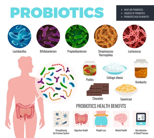 Probiotica en gezondheid set — Stockvector