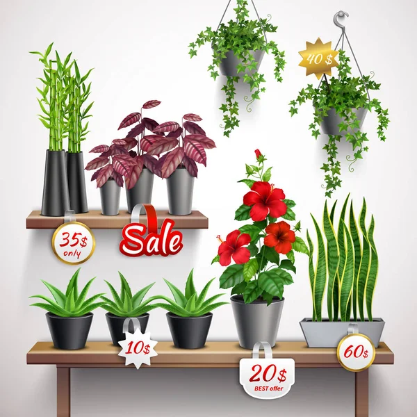 Boutique de plantes maison — Image vectorielle