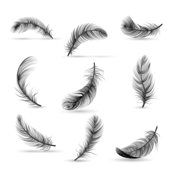 Realistic Feather Black Icon Set — Stock Vector