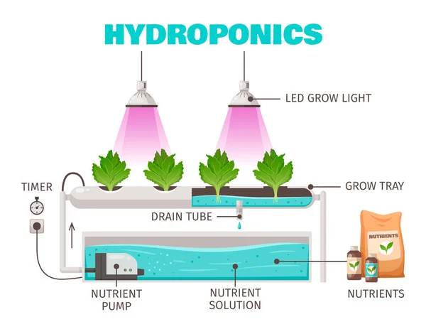 Koncepce hospodaření s hydroponiky — Stockový vektor